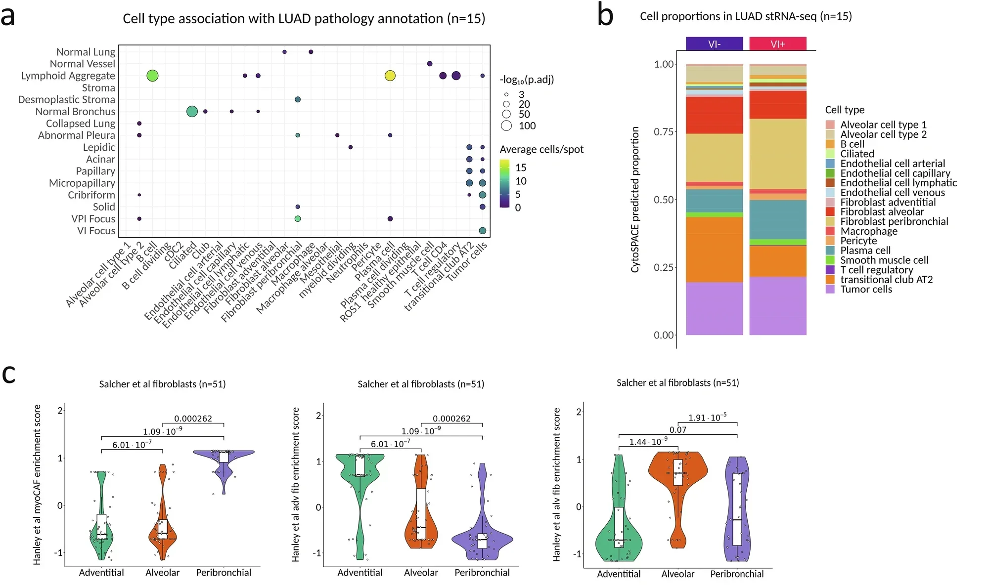 The VI signature is composed of both tumor-specific and tumor-microenvironment changes reflective of angioinvasion.