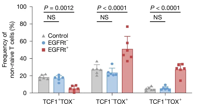 Representative quantification of TOX and TCF1 expression in non-naive CD8+ T cells.