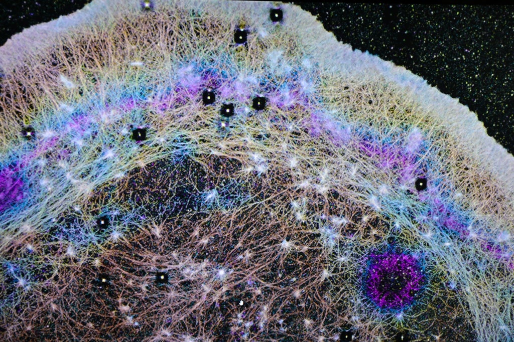 Oregon Health & Science University scientists capture a 3D single-molecule super-resolution microscopy image showing individual actin protein molecules inside a cell, each rendered as a single dot and captured at extraordinary detail — roughly 10,000 times finer than a human hair.