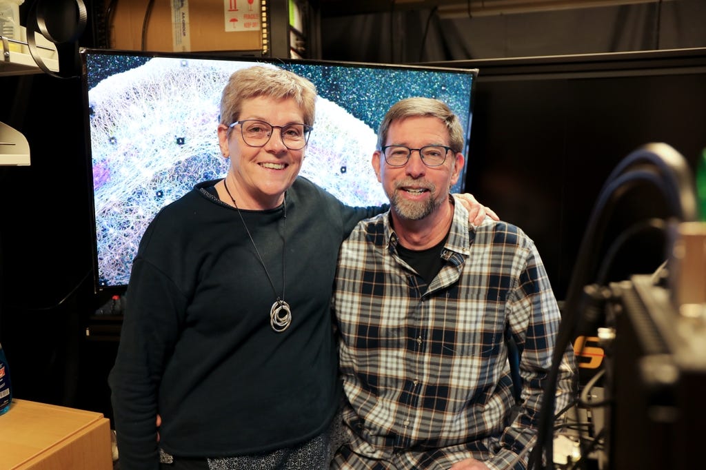 Cathy Galbraith, Ph.D., and Jim Galbraith, Ph.D., have a new study showing for the first time that cells create targeted streams of fluid to push proteins where they need to go.