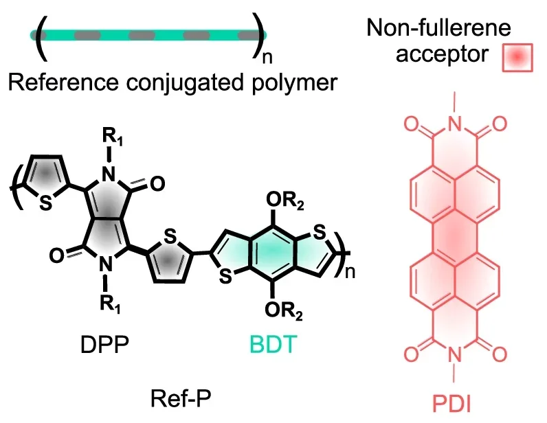 Chemical structure of the donor polymer (Ref-P) and the symmetric and planar non-fullerene acceptor (NFA) unit, perylene diimide (PDI), used in the study. 