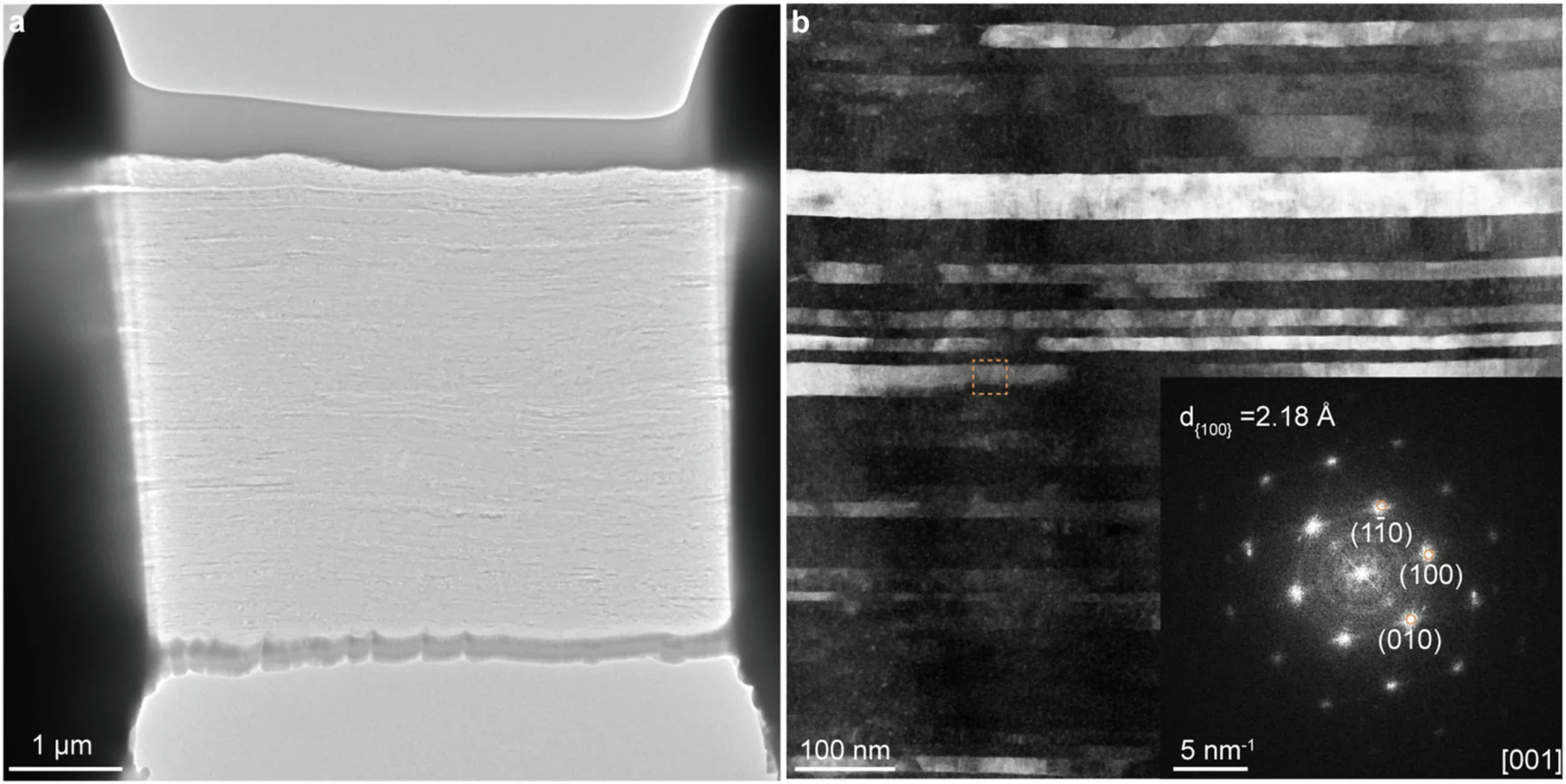 a, Cross-sectional lamella for STEM observations. b, Typical cross-sectional STEM image, showing well-defined layered textures with individual layer thickness of tens of nanometres.