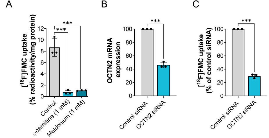 In vitro evaluation of [18/19F]FMC.