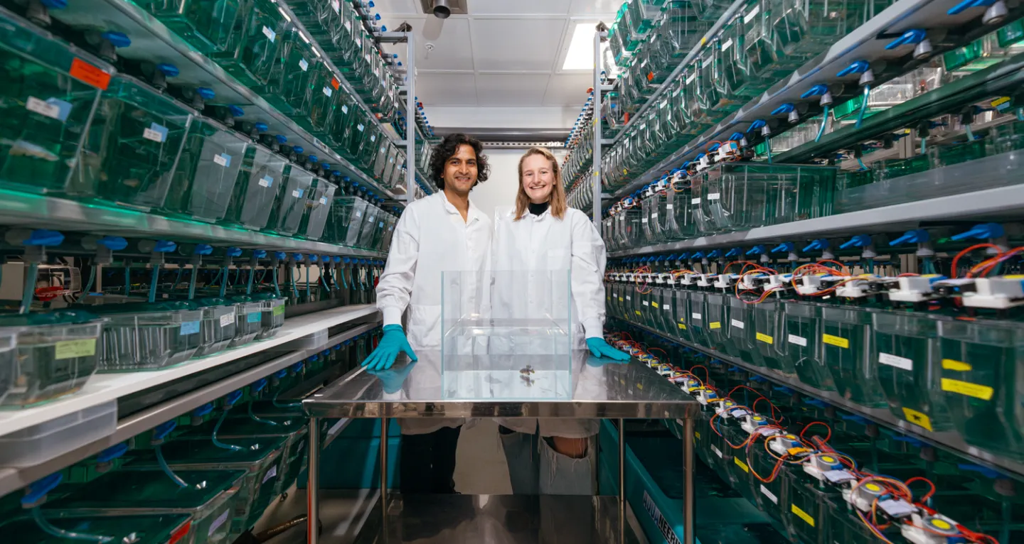 Ravi Nath (left) and Claire Bedbrook with an aging African killifish. 