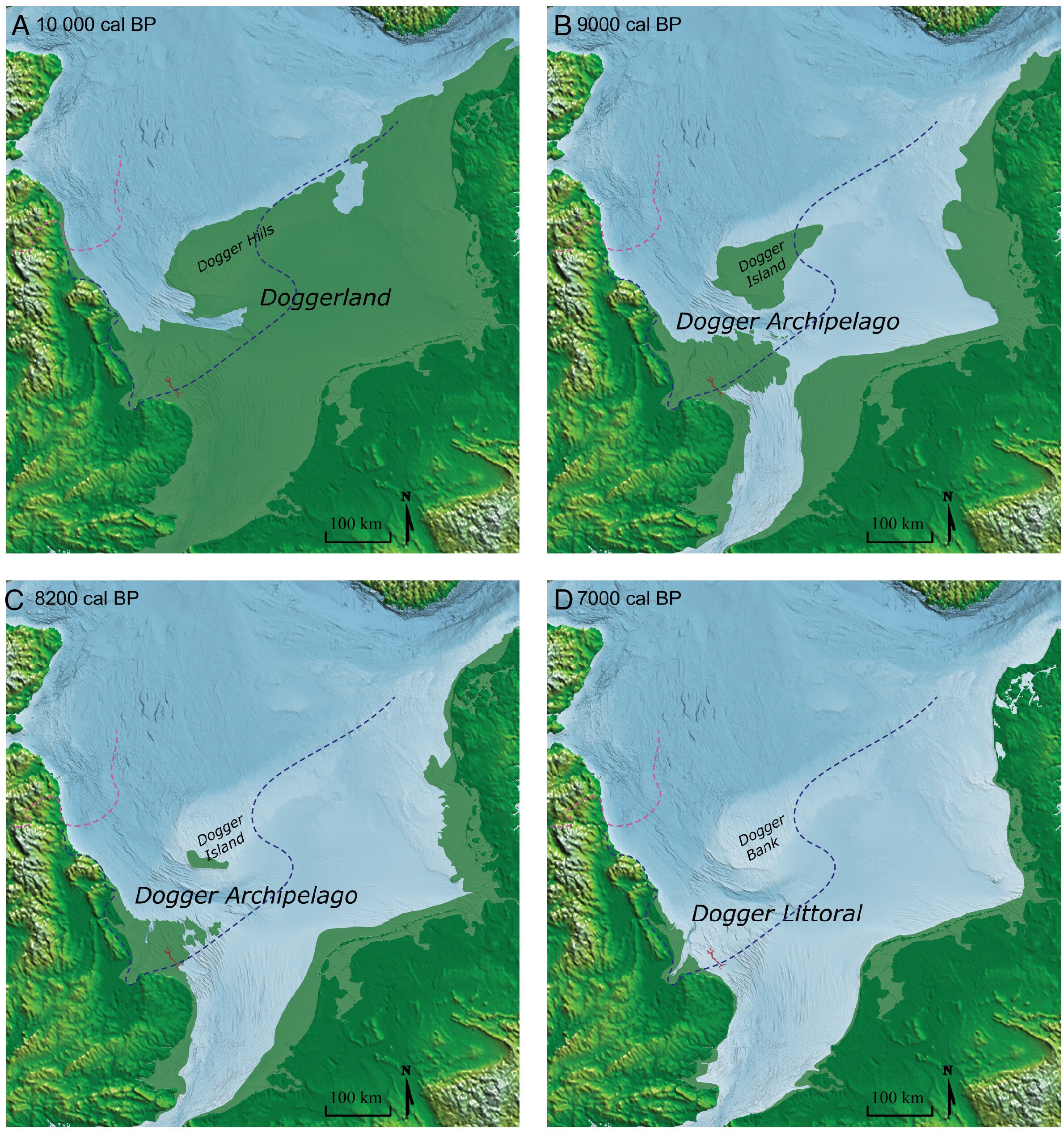 Holocene Doggerland coastline reconstructions in relation to the Southern River. Coastline reconstruction at A. 10000 cal BP, B. 9000 cal BP, C. 8200 cal BP and D. 7000 cal BP. Southern River shown in red. Maximum ice advances shown for 18.4-17.3 ka (dotted line in pink) and 25.8-24.6 ka (dotted line in blue) 