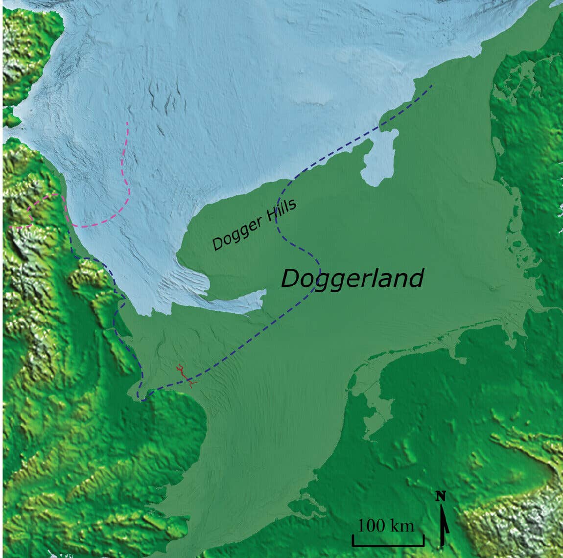 Ancient DNA reveals forests grew in Doggerland 16,000 years ago, far earlier than expected.