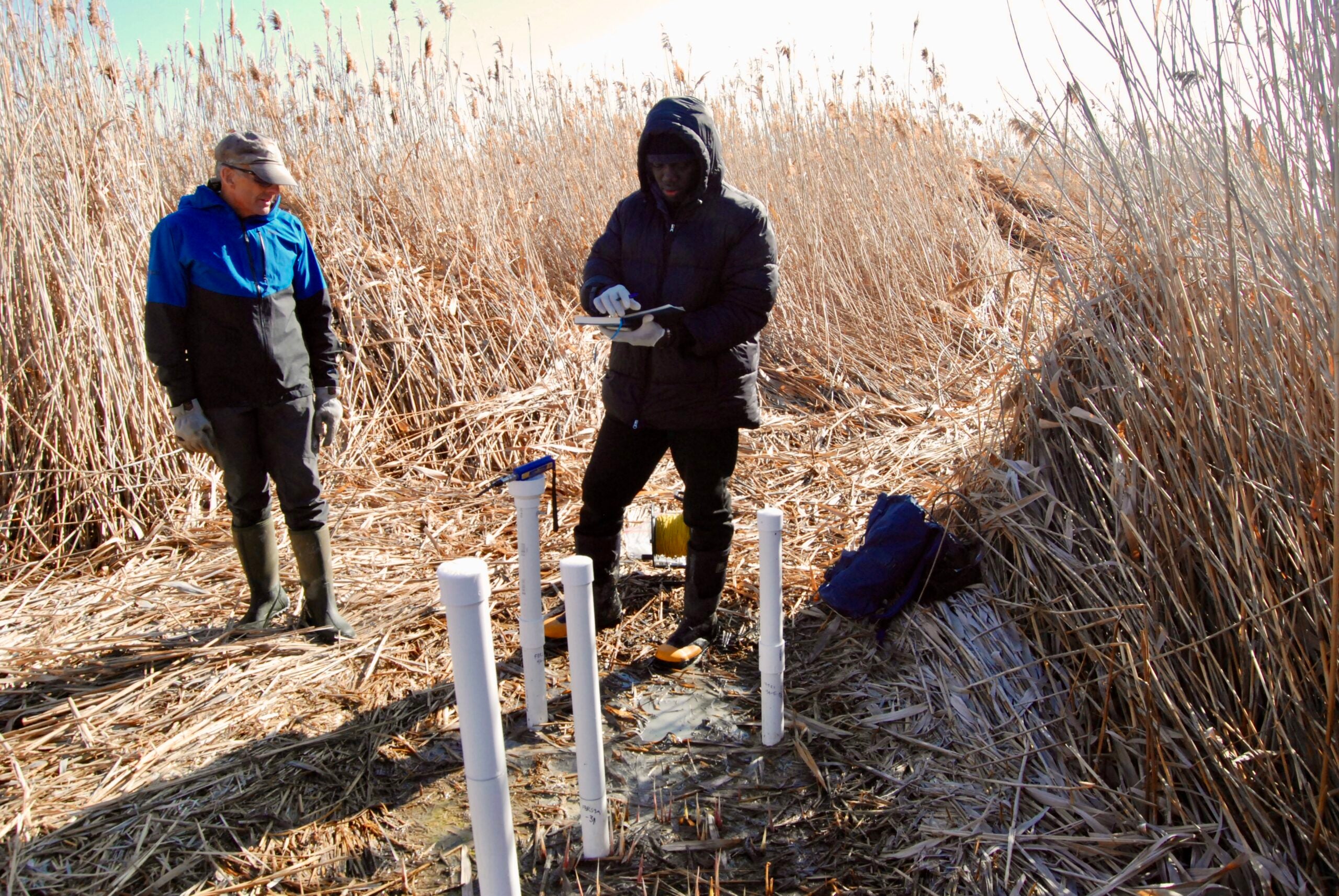 Geology professor Bill Johnson and graduate student Ebenezer Adomako-Mensah record piezometer data on a phragmites mound in Great Salt Lake’s Farmington Bay.
