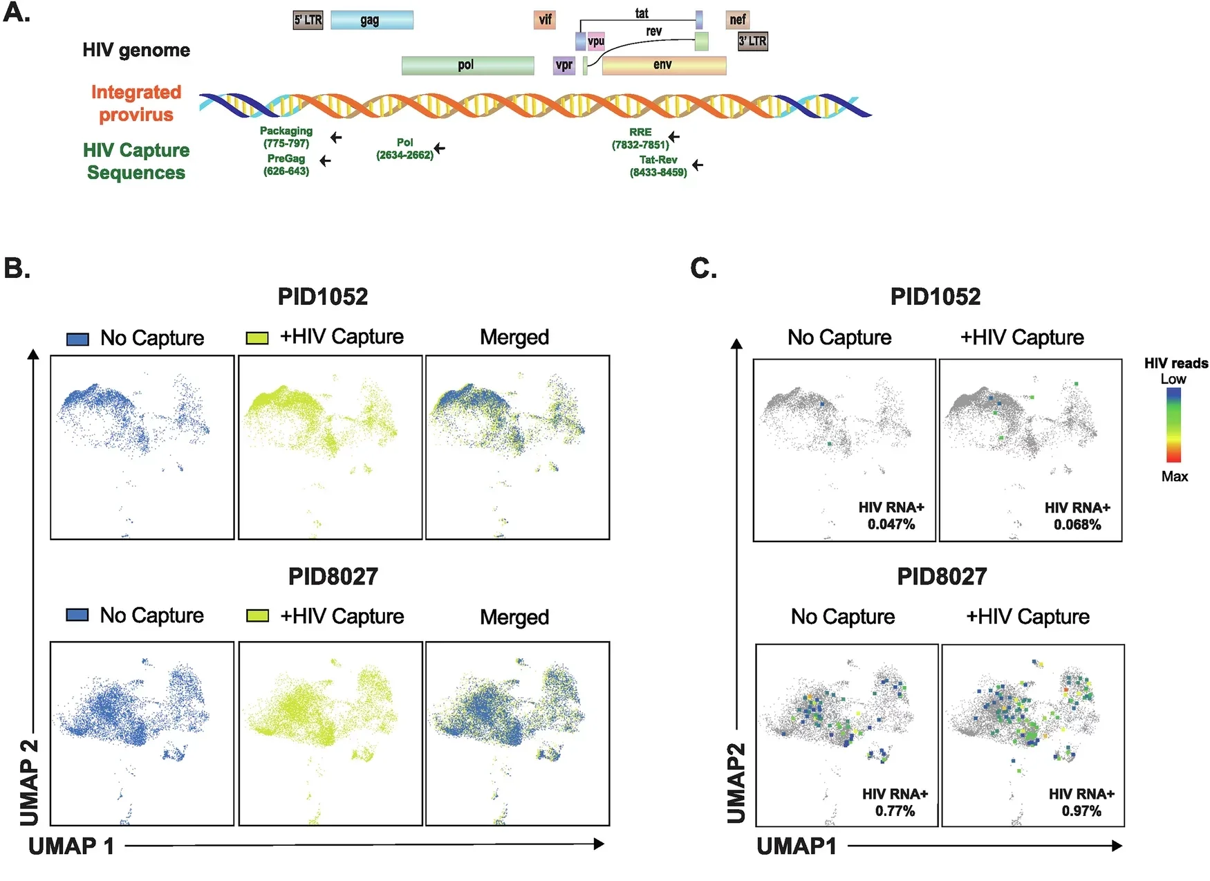 HIV-seq increases detection of HIV RNA+ cells from PWH without affecting host transcriptome.
