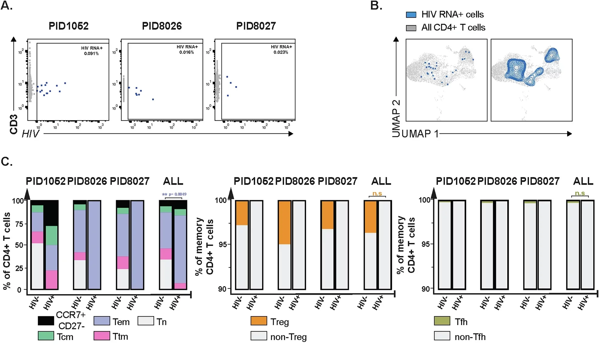 Most HIV RNA+ cells from ART-suppressed PWH exhibit stem-like rather than cytotoxic features.