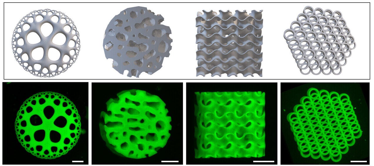List of STL models (top) and confocal microscopic images (bottom) of the printed microstructures