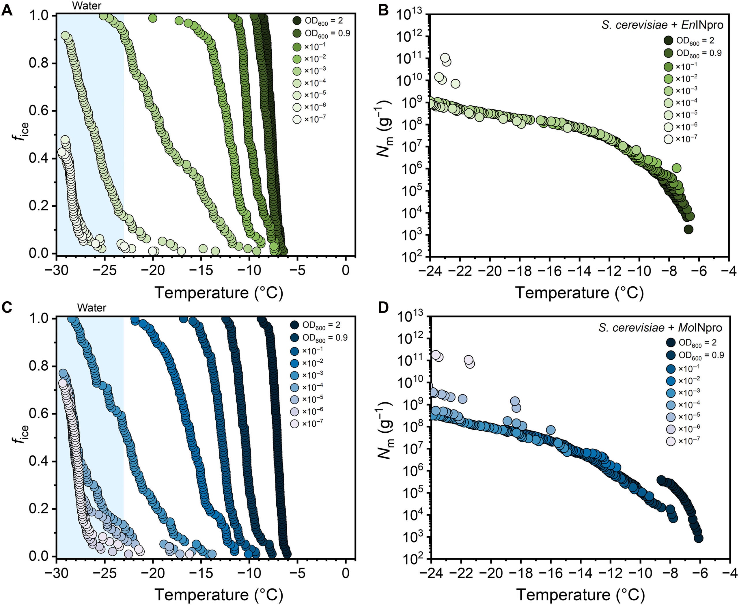  Ice nucleation activity of yeast strains expressing fungal INpros.