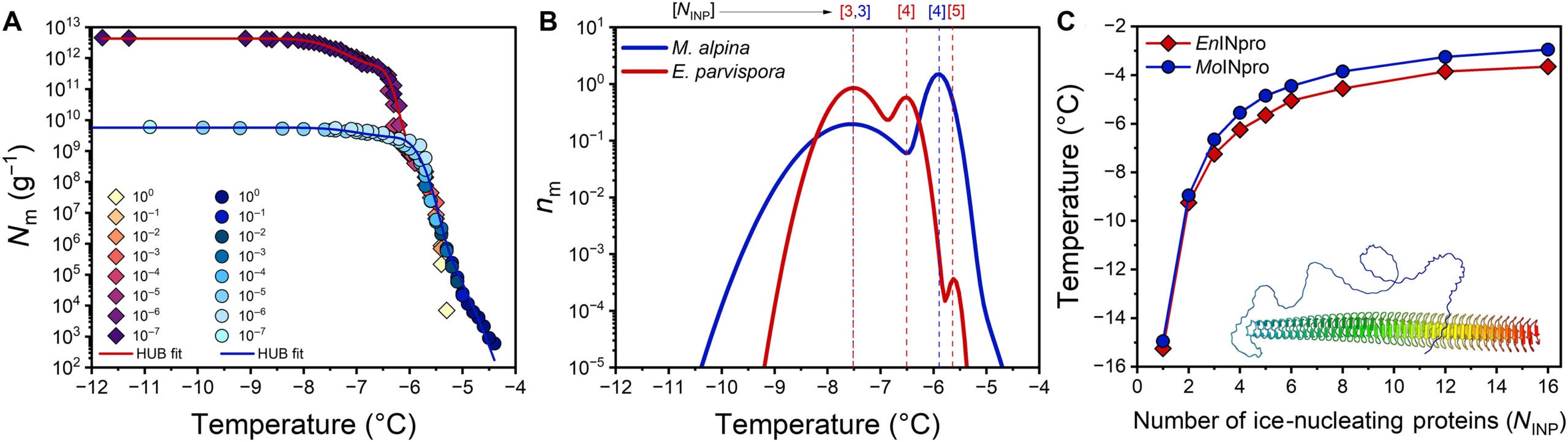 Freezing experiments with aqueous samples of fungal INs from M. alpina and E. parvispora.
