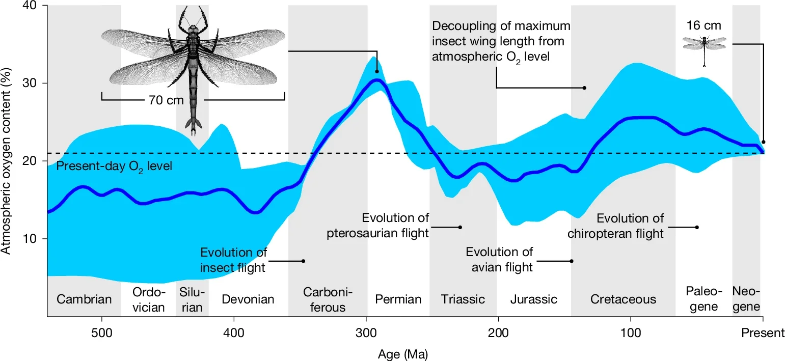 Causation or coincidence: estimated atmospheric oxygen content and insect body size across the Phanerozoic.
