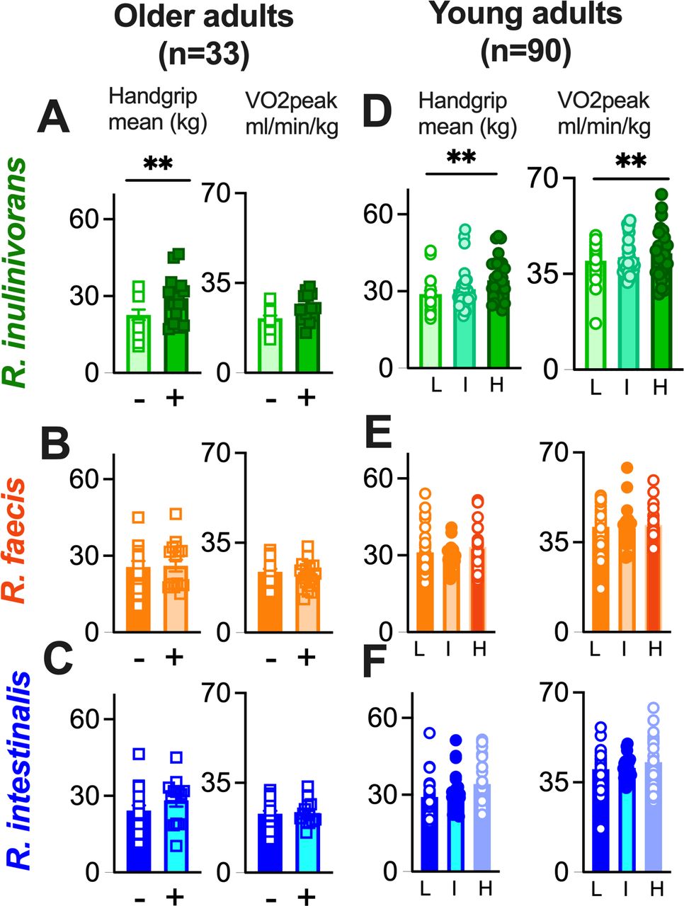 Association between Roseburia species abundance, handgrip strength and VO₂ peak in older and young adults.
