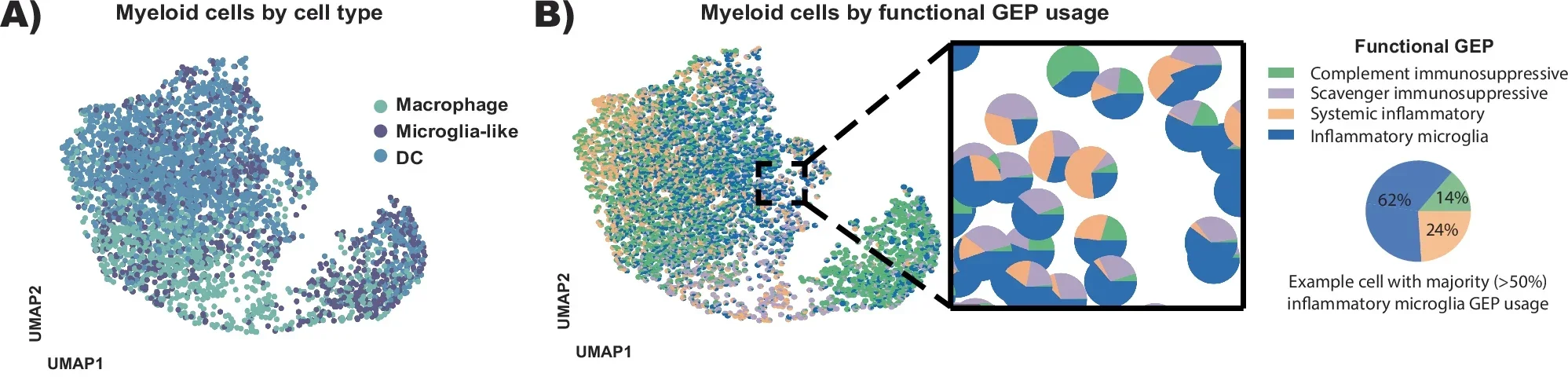 Myeloid cells in the OE demonstrate inflammatory changes associated with AD.