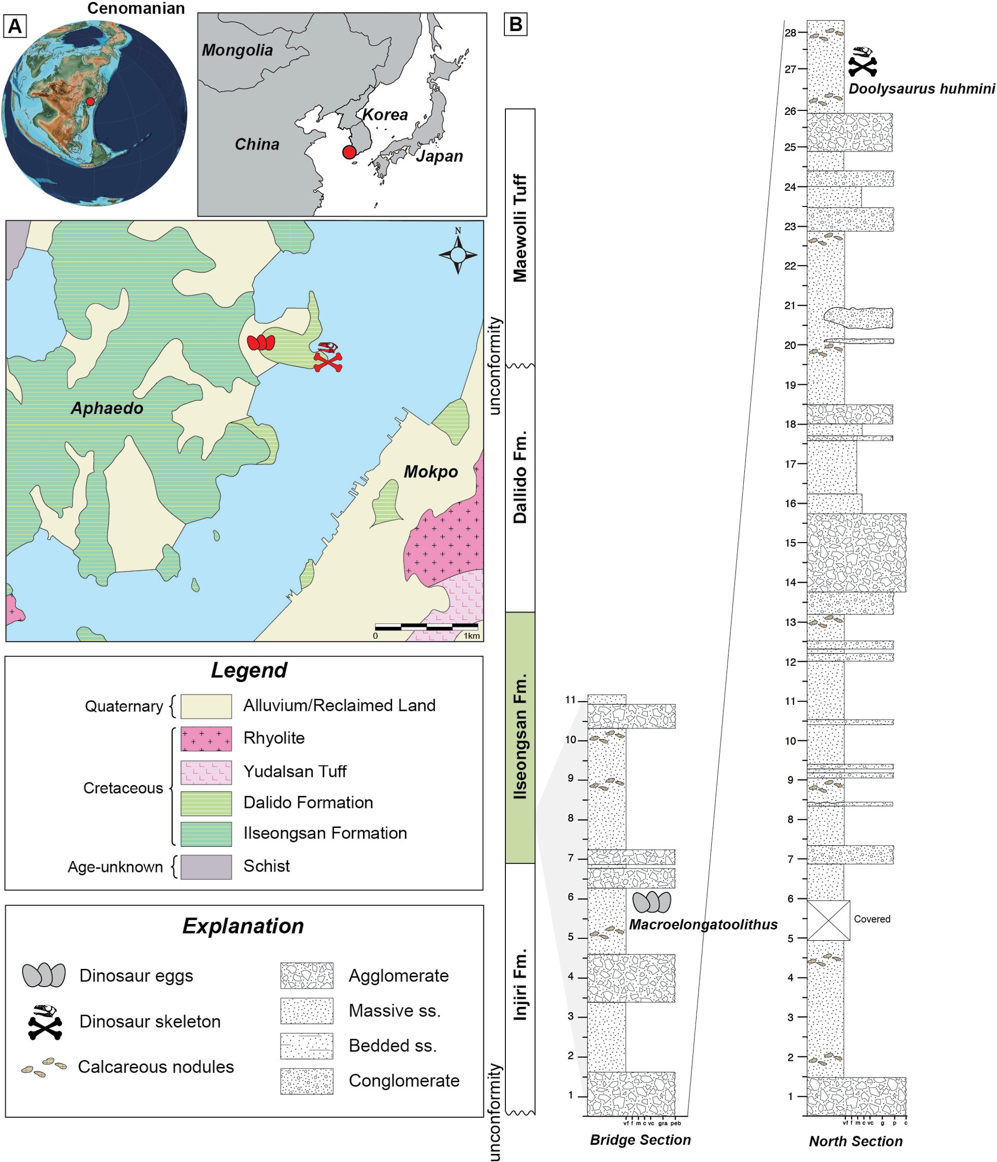 Geological and geographical setting of the Aphaedo site. A. The paleogeographic reconstruction corresponds to 100 Ma (Cenomanian) and a geological map of the Aphaedo site. The paleogeographic map is modified after Scotese (2021); B. Stratigraphic sections of the fossil-bearing sites.