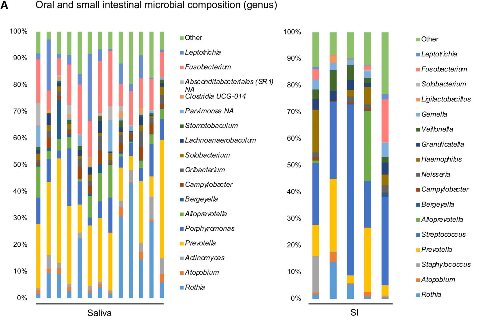 Human saliva harbors PN-degrading bacteria