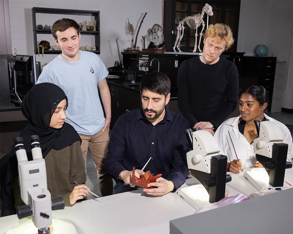Brooklyn College Professor Stephen Chester (center) points out dental features on an enlarged model of an extinct mammal to undergraduate research assistants (left to right) Aisha Amir, Aidan Smith, Todd Skahill, and Shruthika Srinivasan) at his lab on campus.