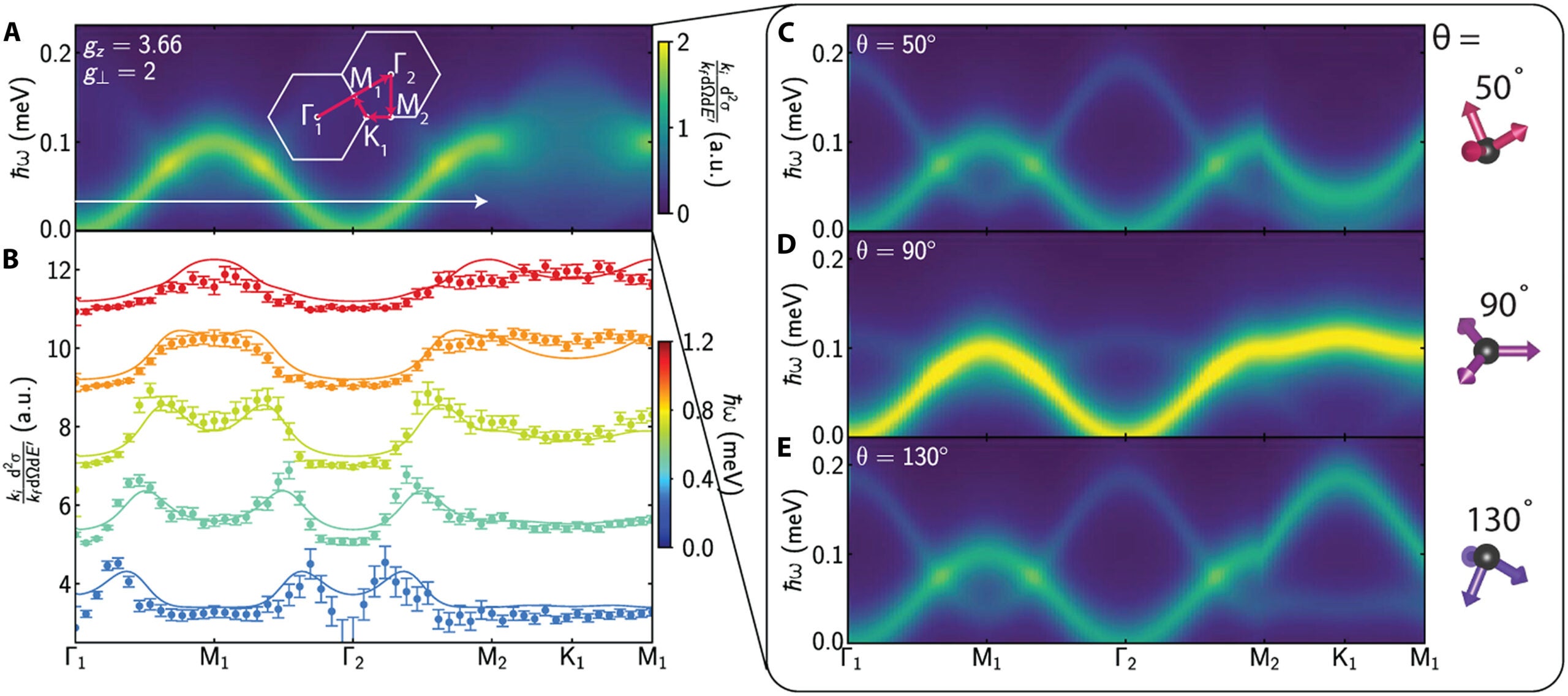 Calculated ensemble-averaged magnetic excitations of the degenerate ground state.