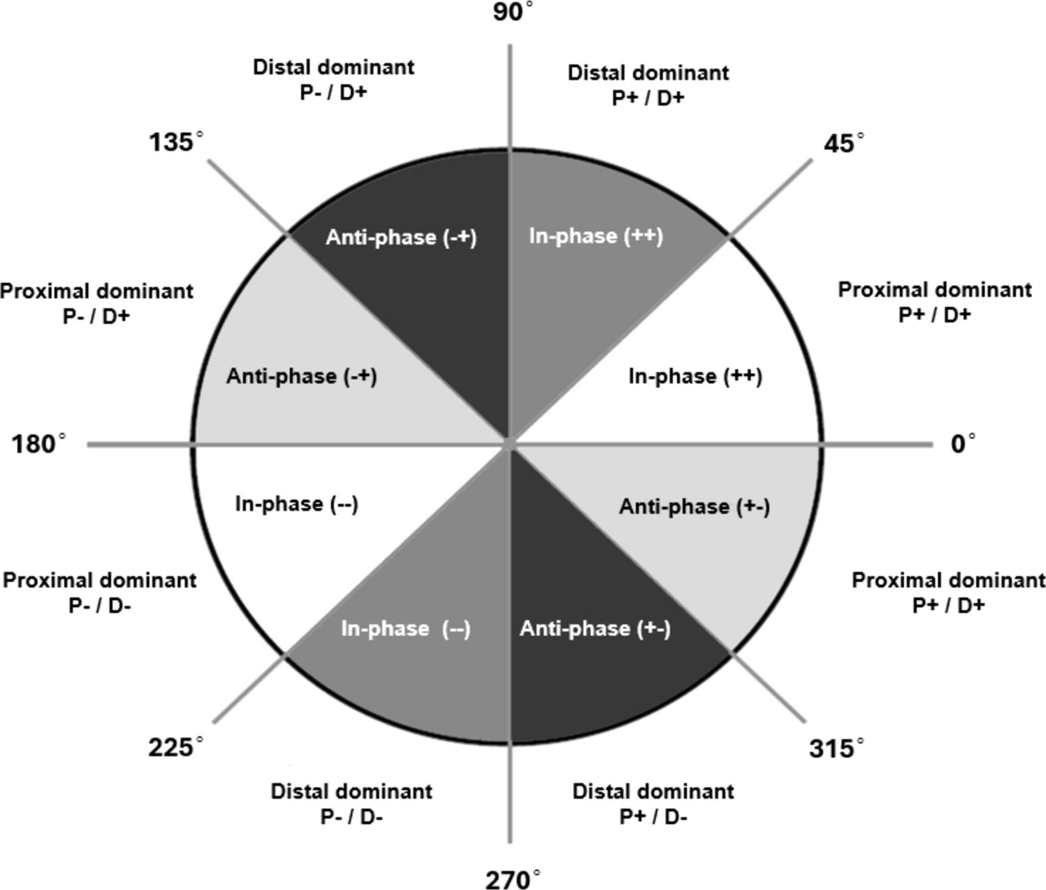 Coordination pattern classification system with coupling angles divided into eight coordination bins. Segmental dominancy (%) is shown around the circumference of the polar plot
