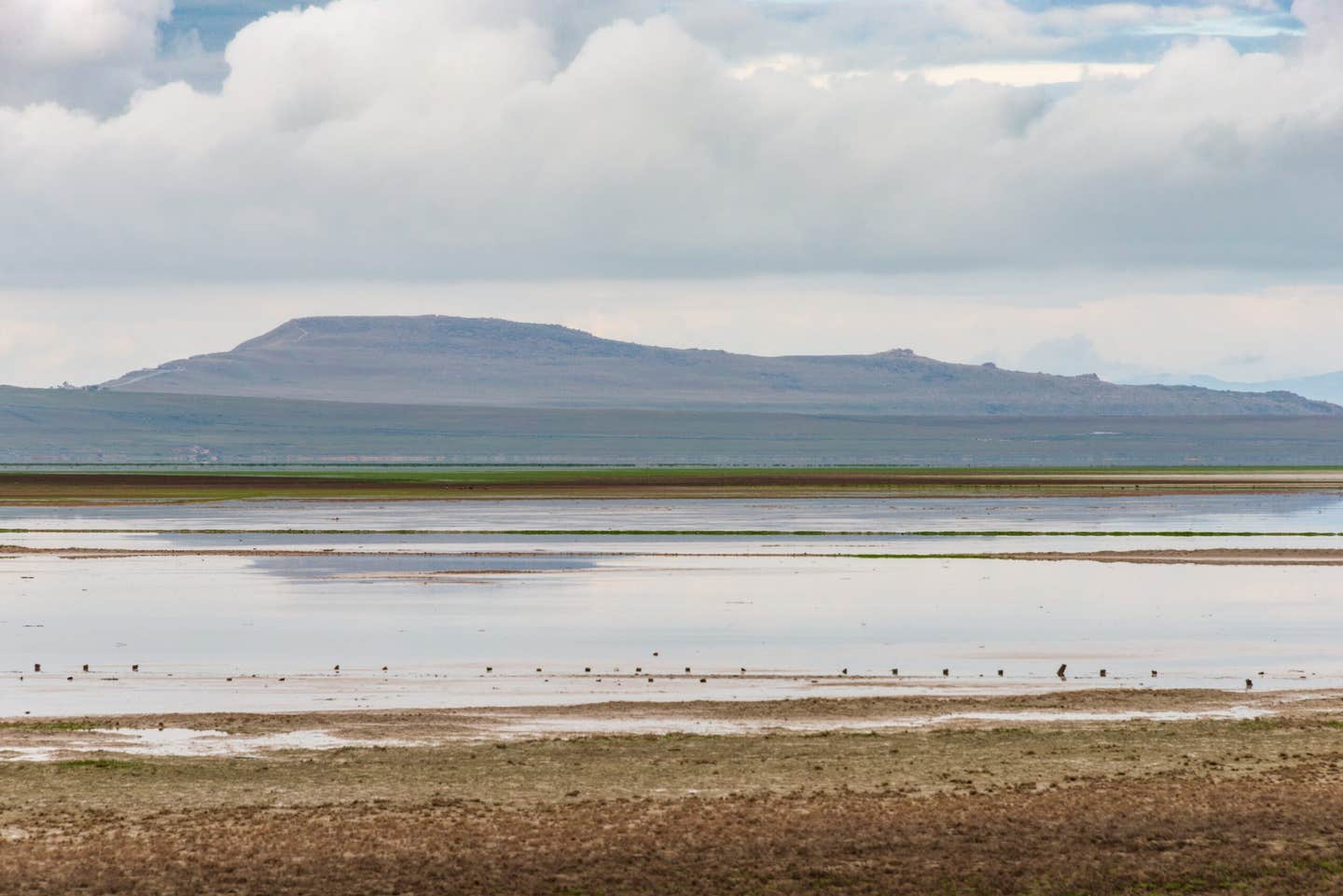 New surveys uncover freshwater beneath the Great Salt Lake, sparking new questions about dust suppression and untapped groundwater reserves.