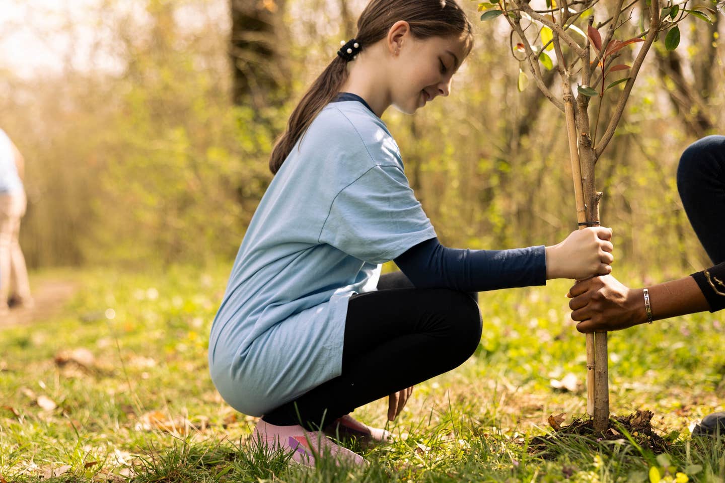 Understanding where a tree’s mass comes from reshapes how you think about growth, food, and the environment.