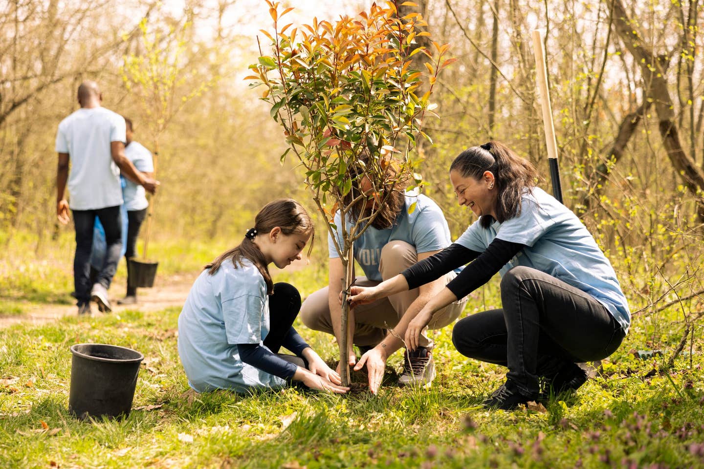 A new ETH Zurich study finds that where you plant trees matters more than how many.
