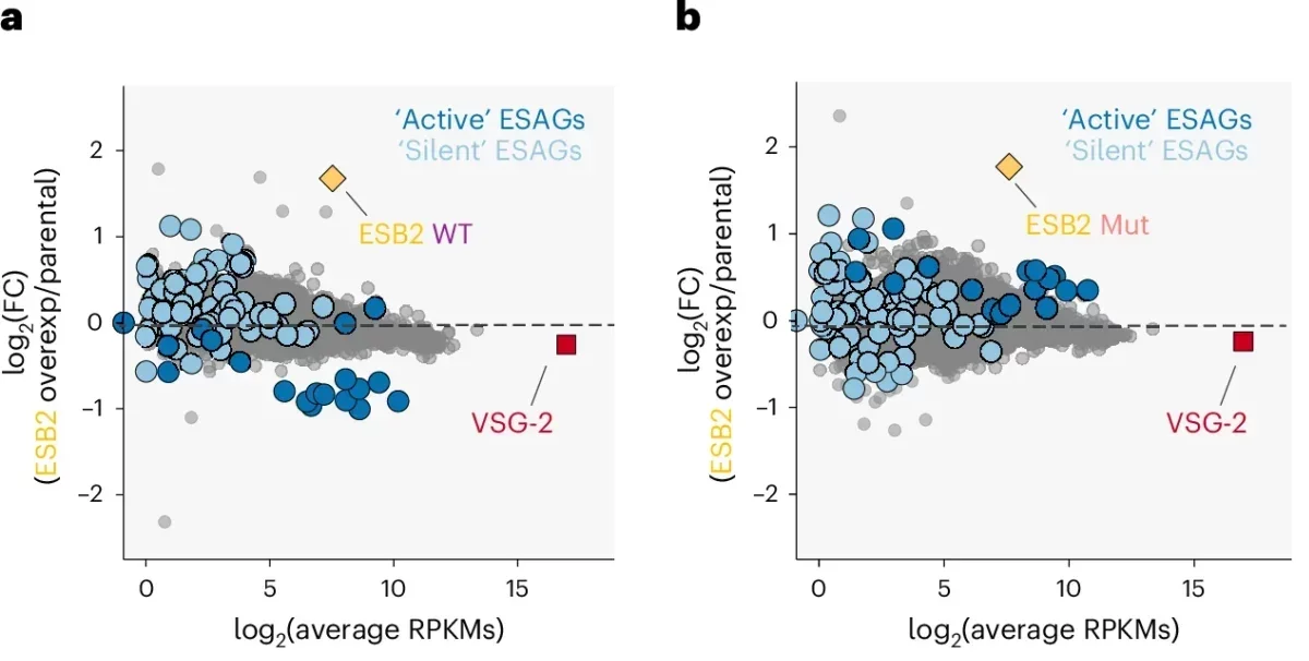 Scatter plots comparing average gene expression in the parental line (in RPKMs) with fold change in expression in ESB2WT overexpression over parental (a) and ESB2Mut-NLS overexpression over parental (b).