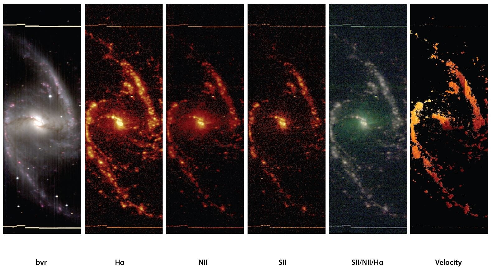 Six views of the spiral galaxy NGC 1365, as extracted from its spectro-photometric data cube, generated by the TYPHOON survey.
