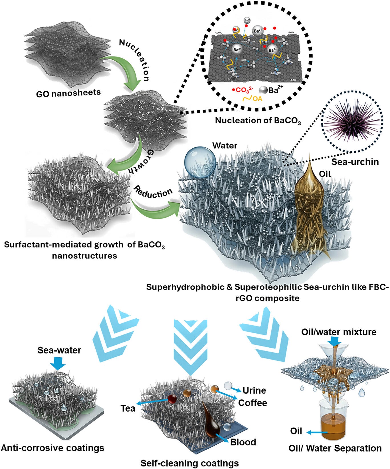 Schematic overview of the hierarchical FBC-rGO coating: (top) graphene oxide sheets undergo surfactant-mediated nucleation and growth of FBC nanostructures, followed by reduction to form a mechanically interlocked, superhydrophobic–superoleophilic composite; (bottom) the multifunctional membrane delivers robust anticorrosive protection in seawater, high-efficiency oil–water separation, and self-cleaning.