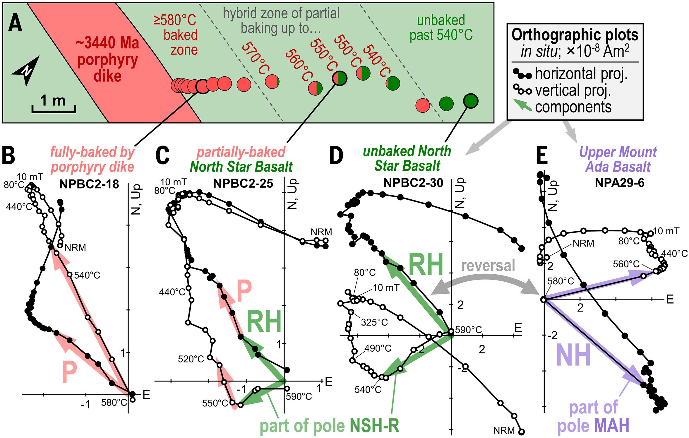 Paleomagnetic constraints on H component age. Orthographic sample demagnetization plots are in in situ coordinates; NRM, natural remanent magnetization.