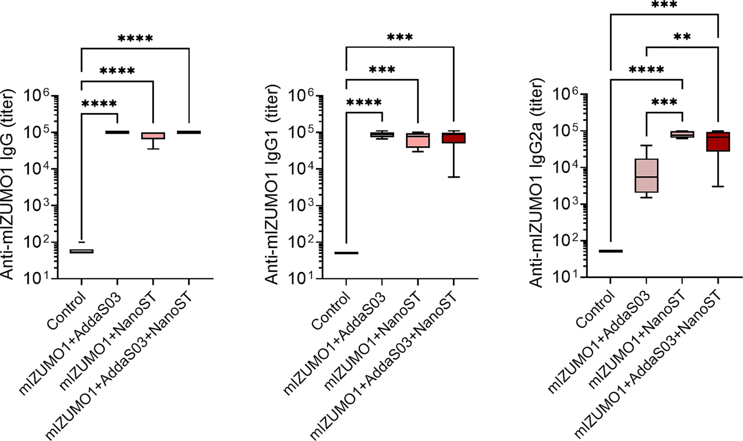  Increased serum anti-IZUMO1 IgG, IgG1 and IgG2a in mice immunized with IZUMO1 with AddaS03™, with NanoST, or with a combination of NanoST and AddaS03™.