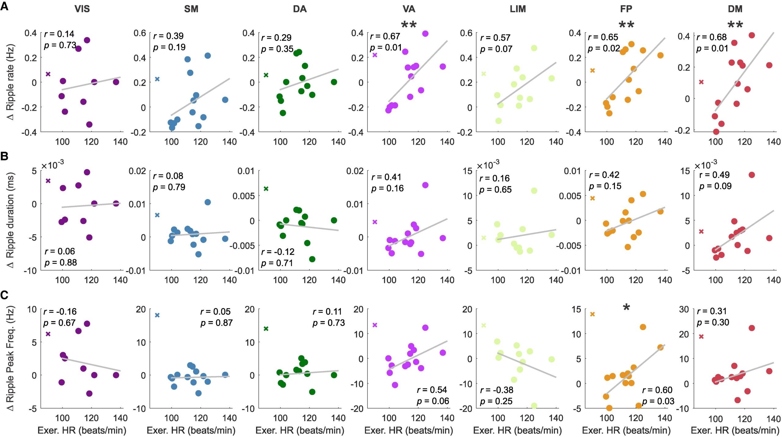 Modulation of neocortical ripple properties is correlated with exercise-associated heart rate across subjects.