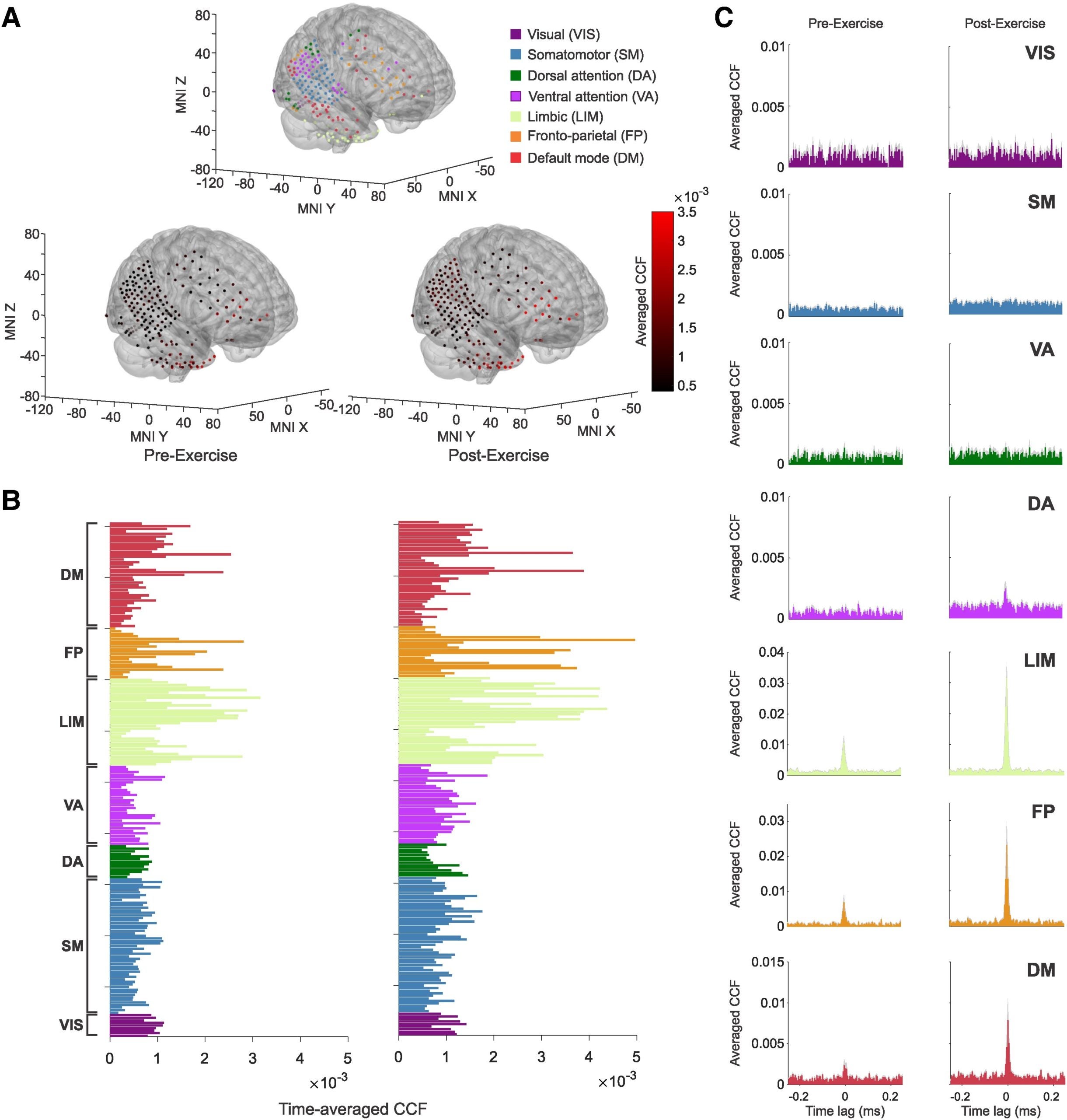 Hippocampal-cortical ripple statistical coupling in an exemplary subject.