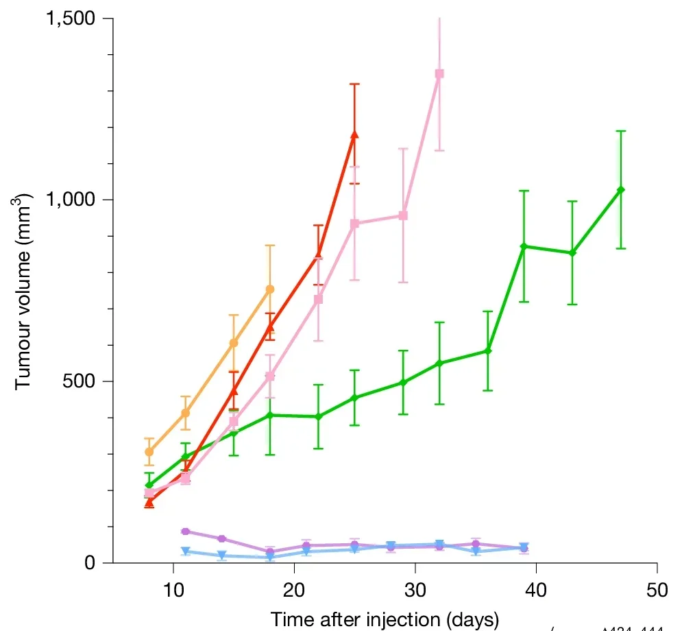 Fewer tumour suppressor hits are required for oncogenic transformation of bowhead whale fibroblasts than for human fibroblasts.