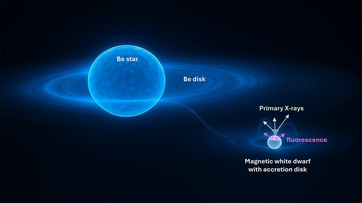 XRISM observations suggest Gamma Cassiopeiae’s strange X-rays come from an accreting white dwarf companion.