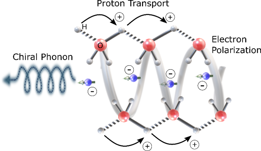 A schematic toy model. 