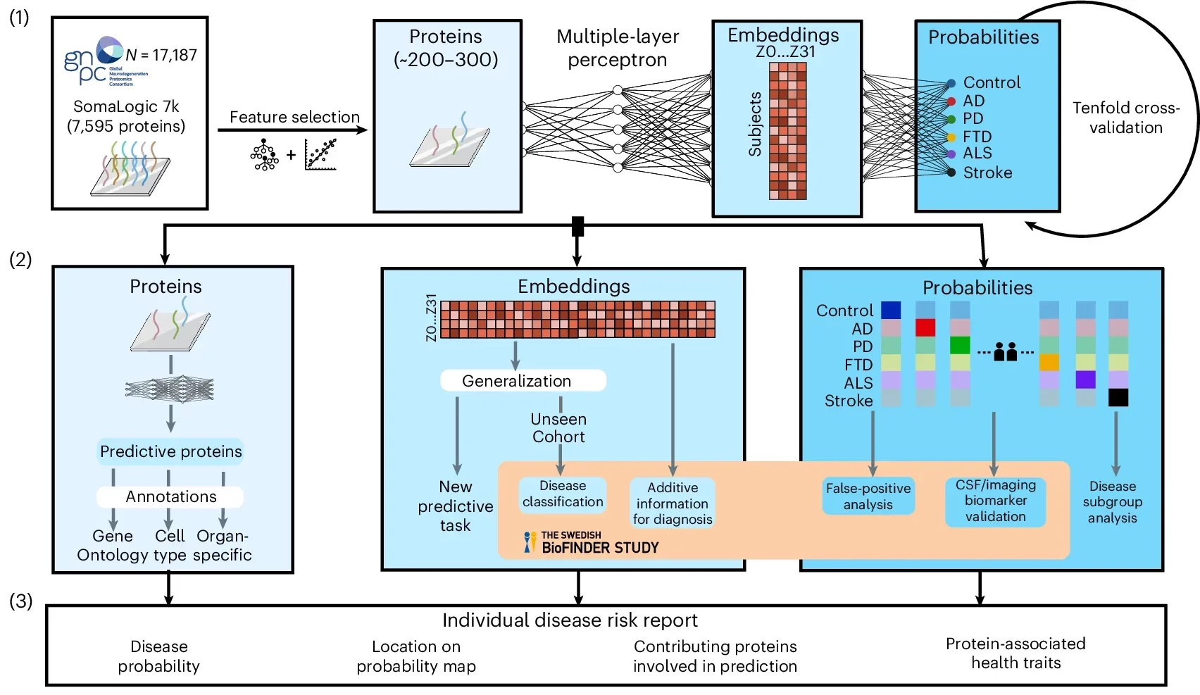 Workflow and overall performance of ProtAIDe-Dx on GNPC.