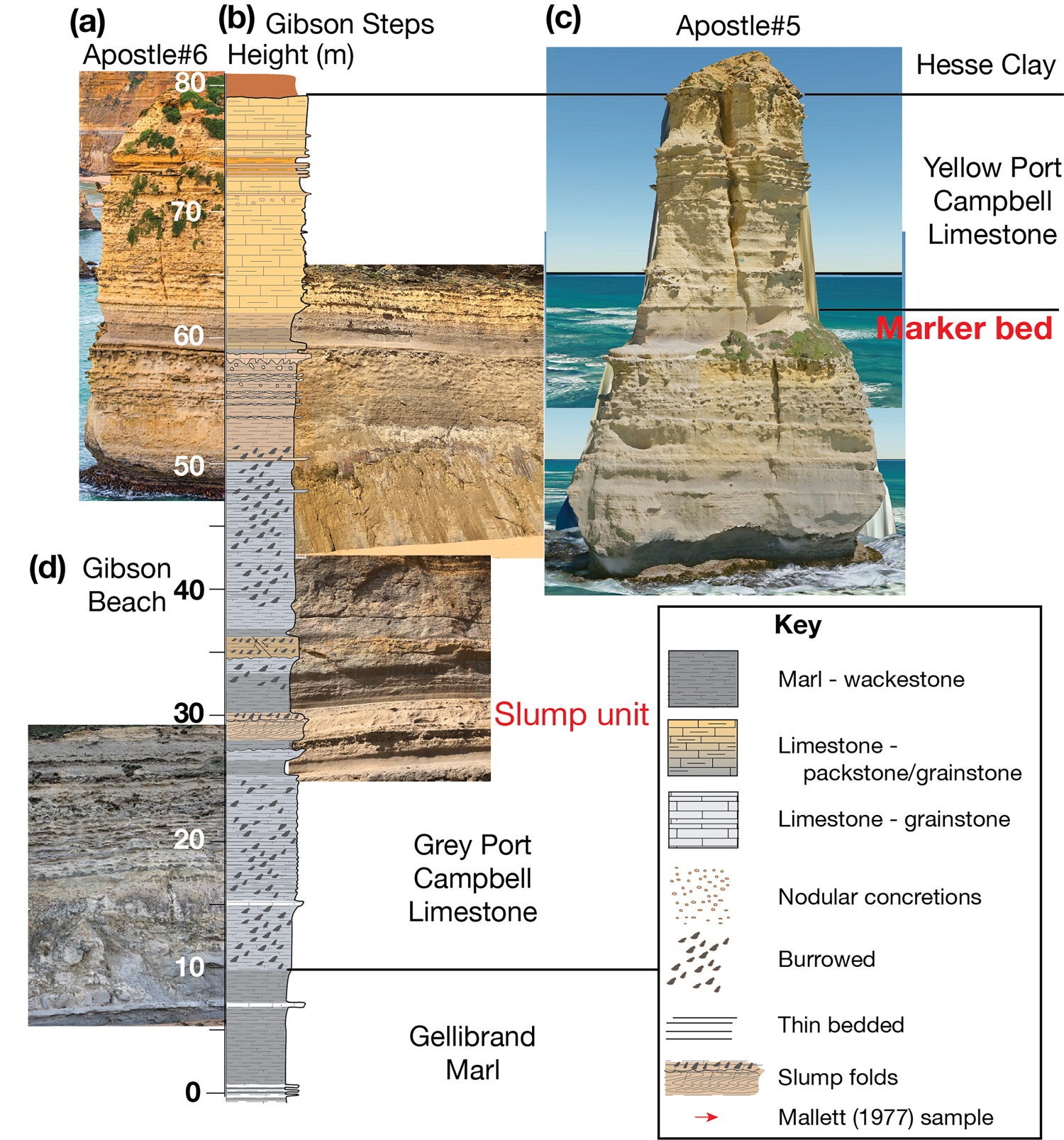 This multi-panel figure illustrates geological formations through photographs and stratigraphic columns, accompanied by a key.