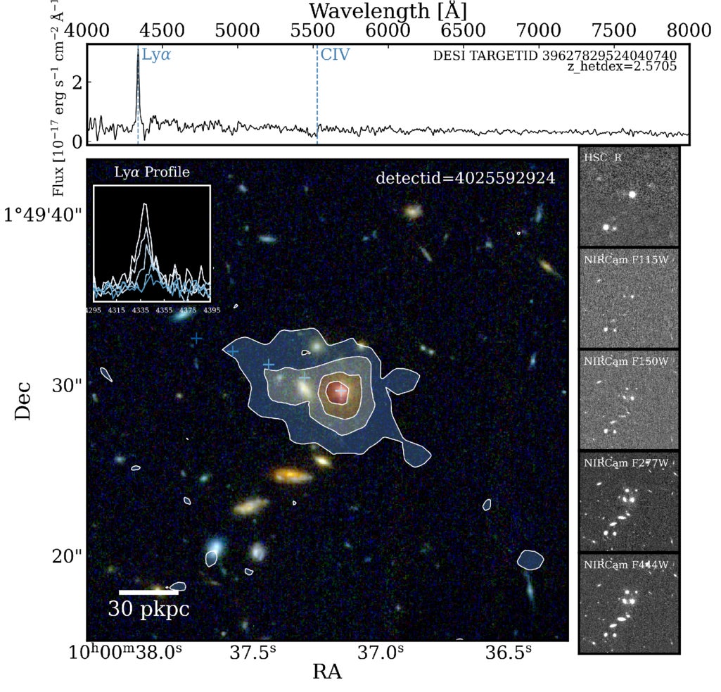 Multiwavelength view of HLAN 4025592924 at z_hetdex = 2.57. Situated in the COSMOS Deep Field, this LAN is among the largest in the HETDEX sample, with an isophotal radius of 45.9 kpc—placing it in the top 2% of the distribution.