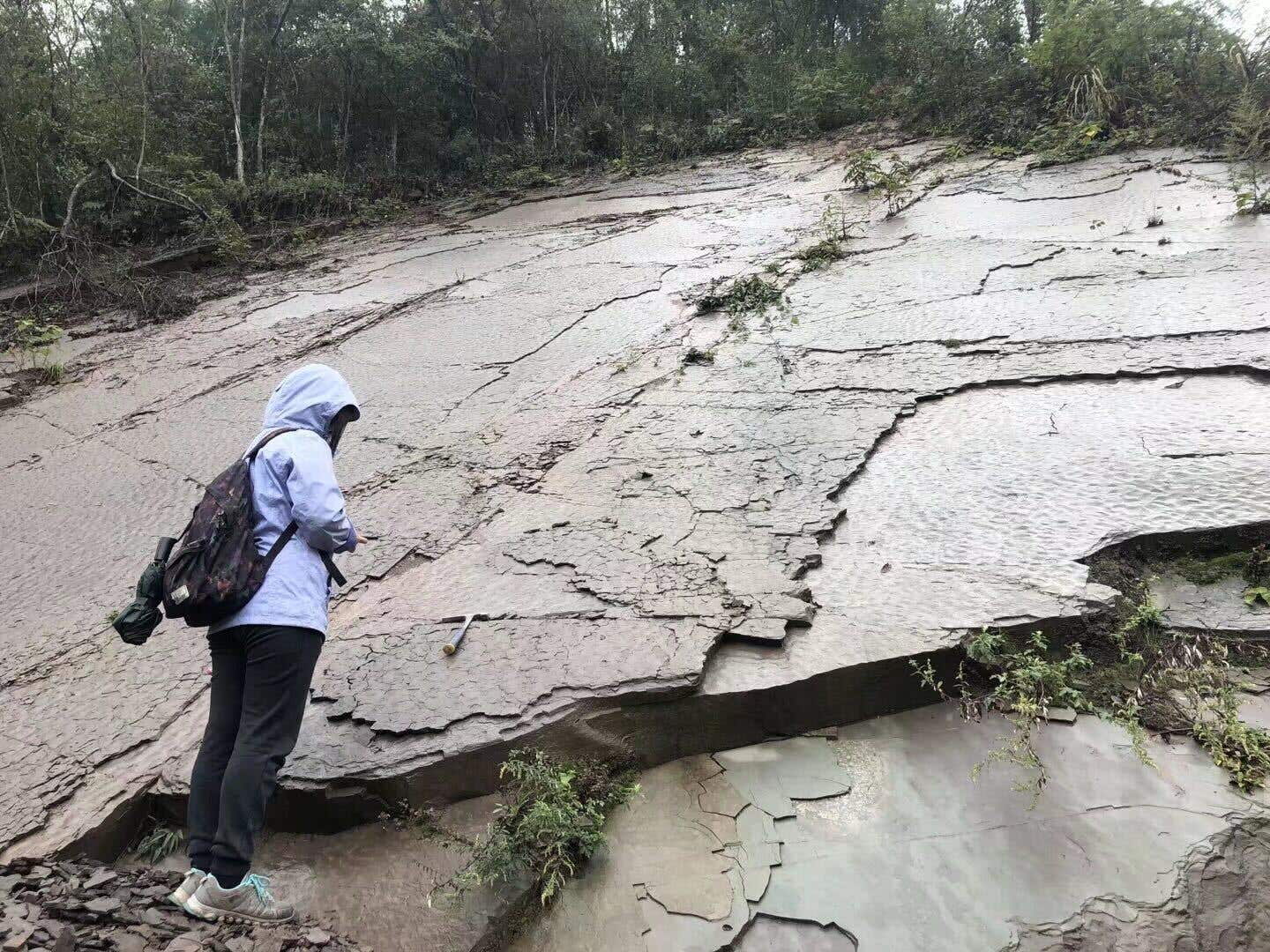 Fossil hunting by the research team in south China.