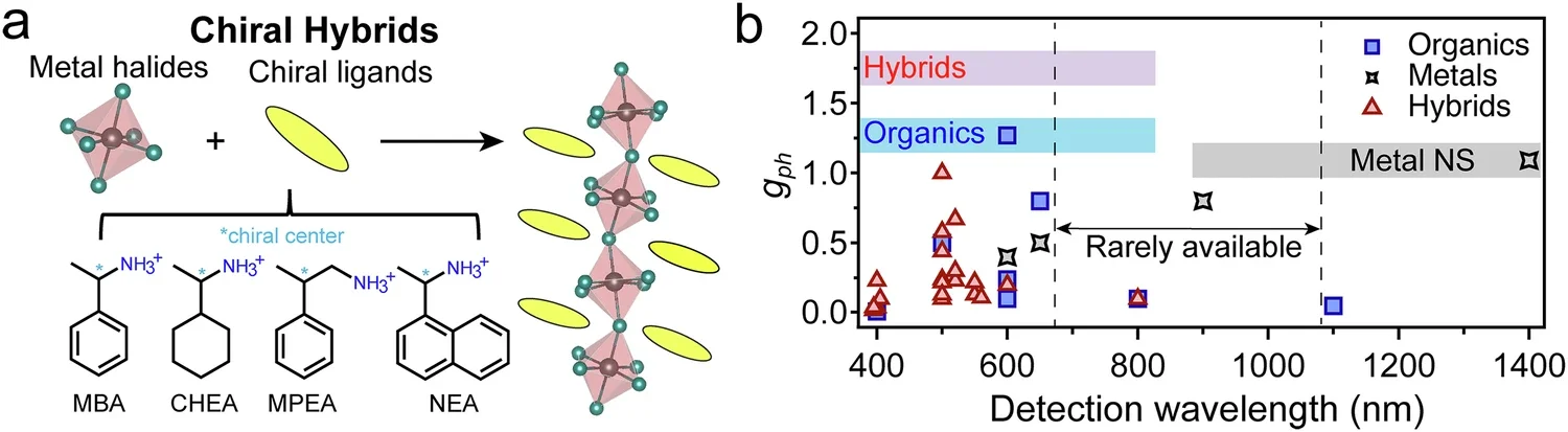 Structural assembly and wavelength-dependent chiroptical response of reported chiral metal halide hybrids.