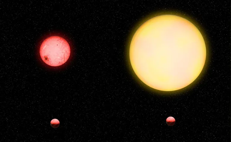 A Jupiter-like planet orbiting a Sun-like star could be compared to a pea going around a grapefruit; for TOI-5205b, because the host star is so much smaller, it is more like a pea going around a lemon, said lead author Shubham Kanodia.