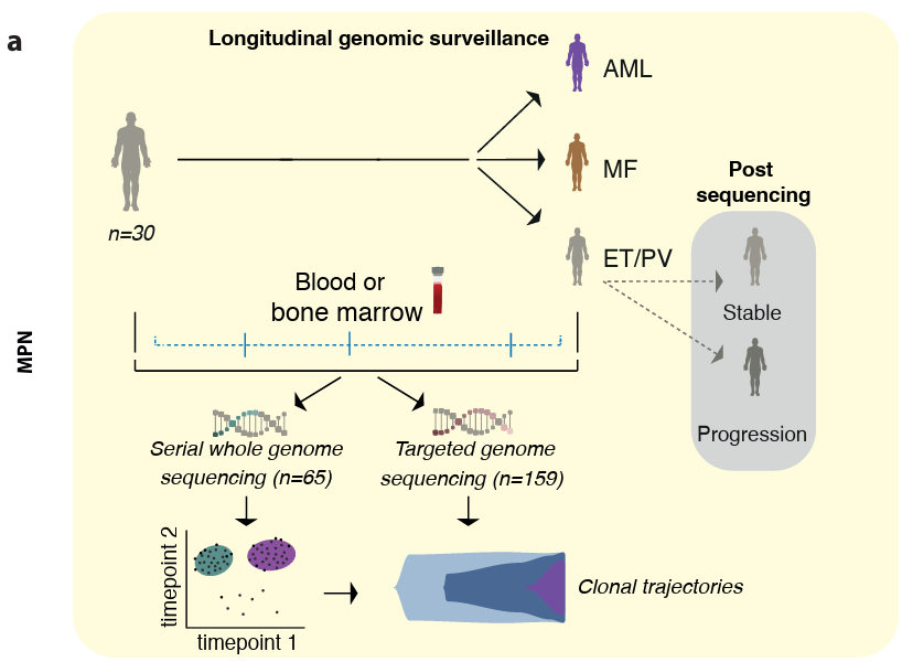 Patient cohort and study design (a) Experimental approach.