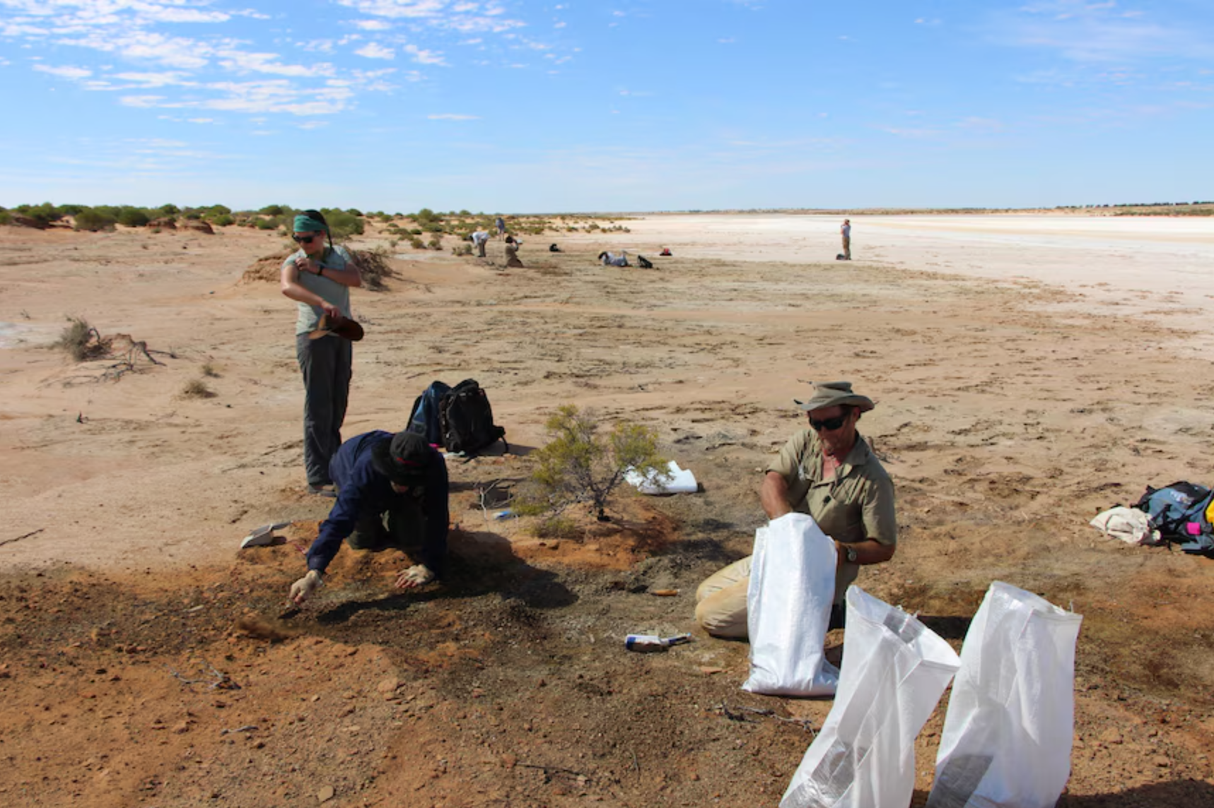 Palaeontologists found one fossil at the Billeroo Creek site in 2017. 