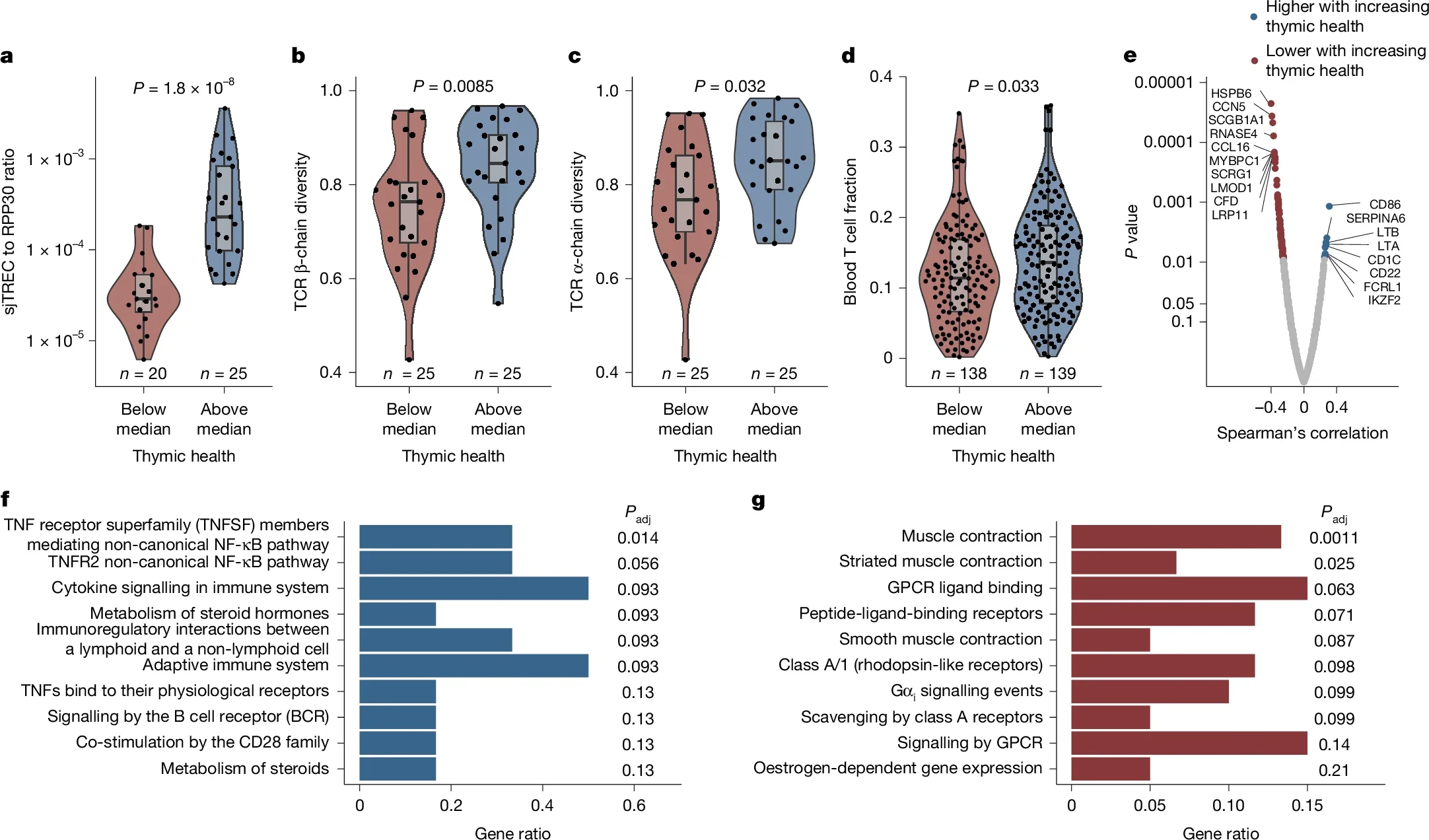 Biological associations with thymic health in TRACERx.