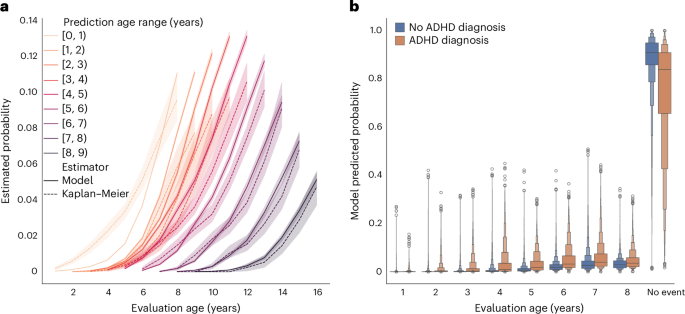 Kaplan–Meier estimate compared with the predicted probability of diagnosis stratified by prediction ages, and the predicted probability distributions at each evaluation age.