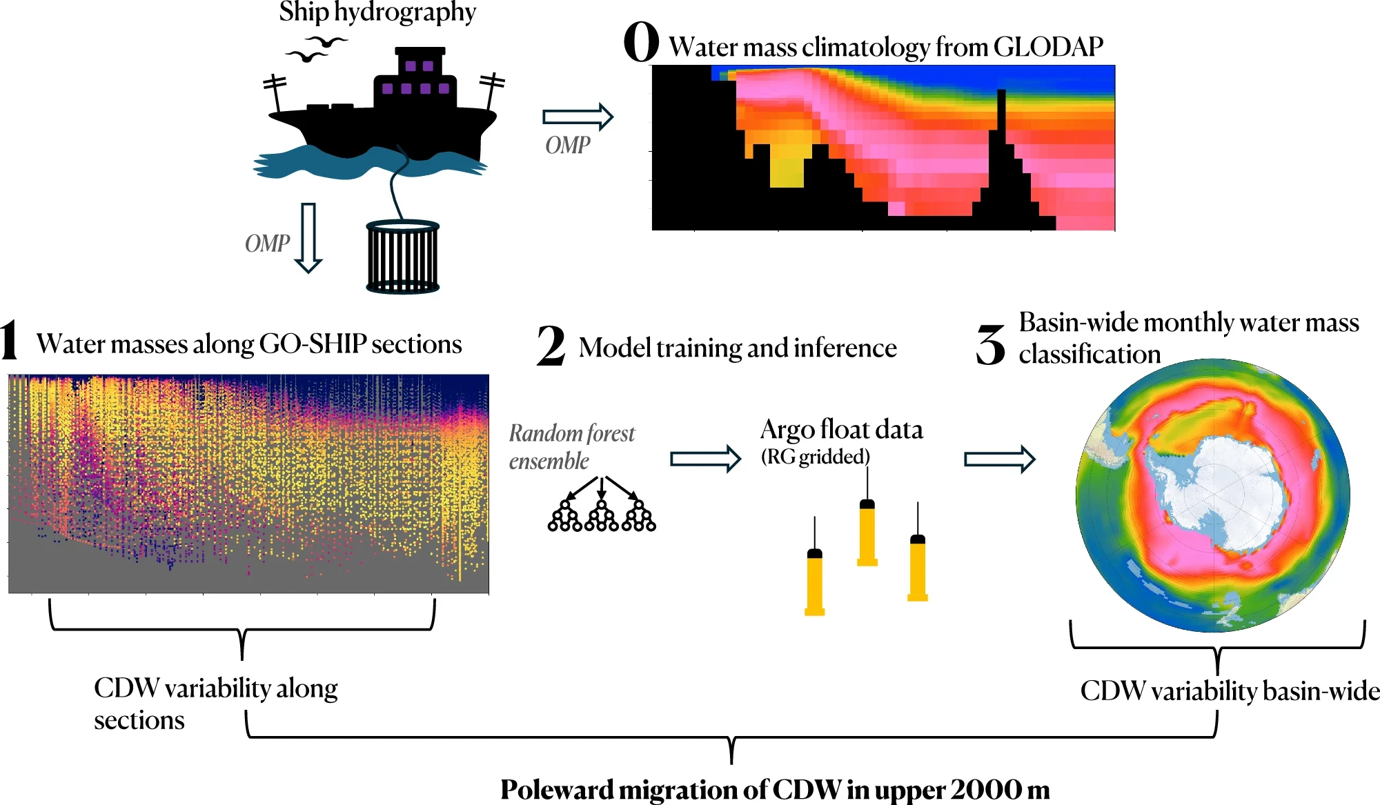Schematic overview of the analysis workflow used in this study, illustrating the main processing steps.