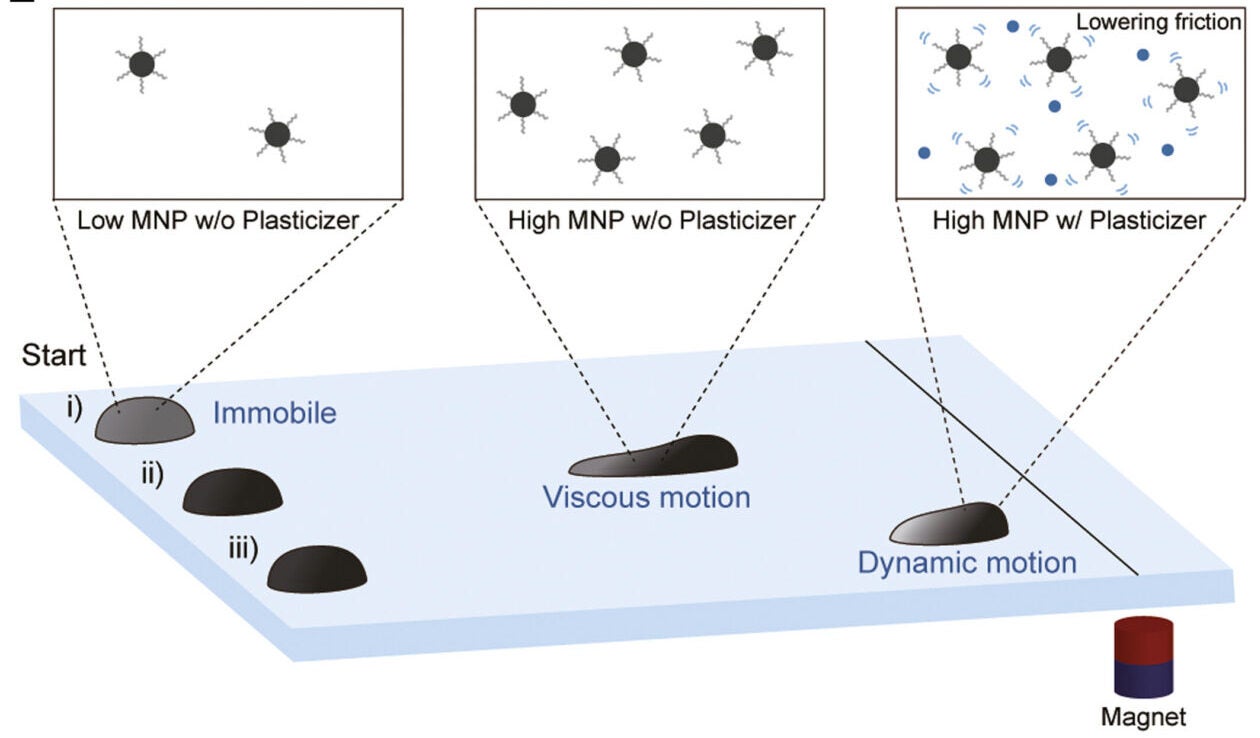 Magnetodynamic behavior is controlled by the concentrations of MNPs and plasticizer.