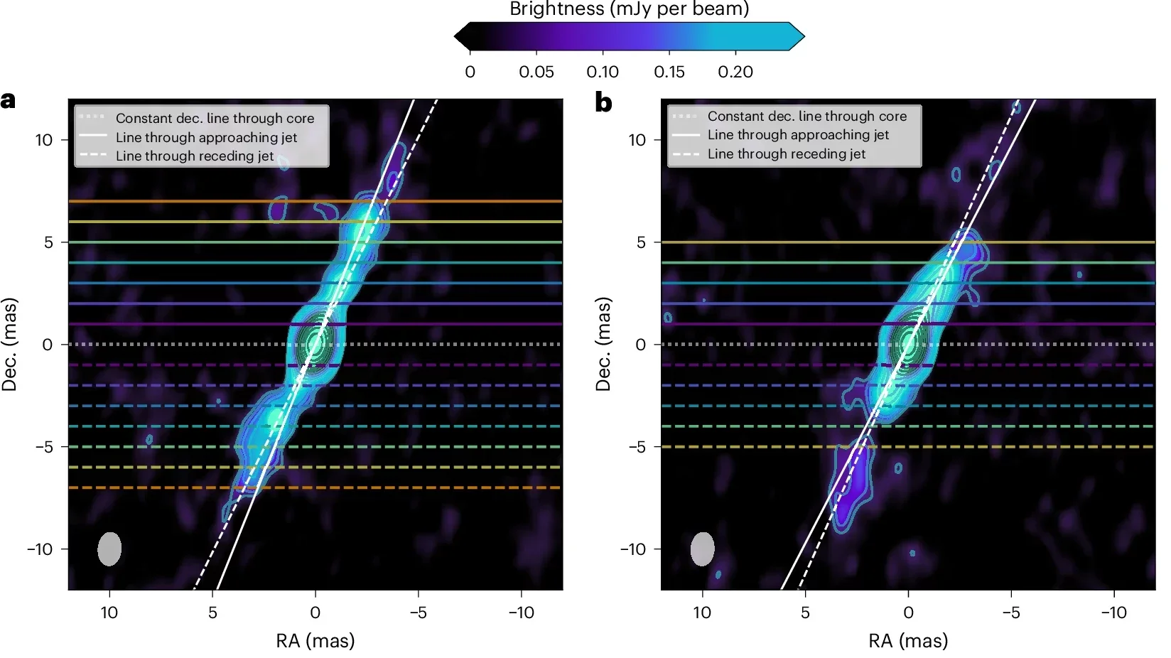 A model-independent demonstration of bent jets in Cygnus X-1.
